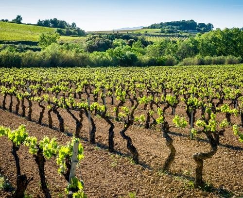 Persianas en Vilafranca del Penedès